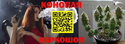 гашик Дубна