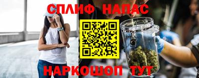 гашик Дубна