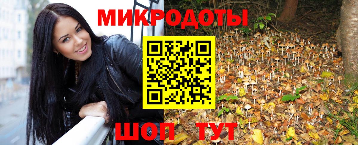 Мариинск  Псилоцибиновые грибы Cubensis  где найти   Вход с VPN 